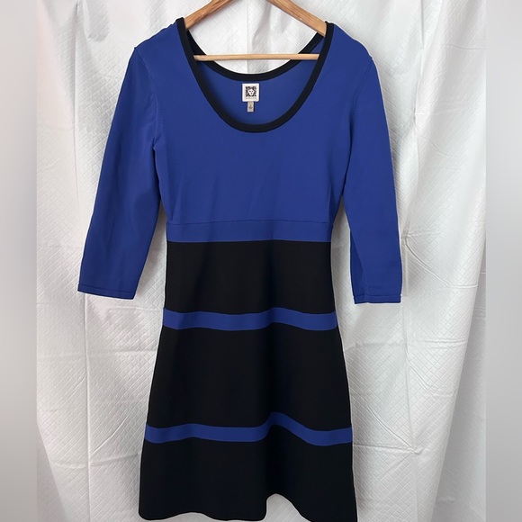 Anne Klein Dresses & Skirts - Anne Klein Blue and Black Long Sleeve Dress